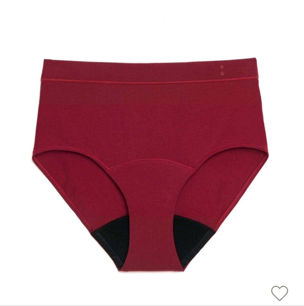 Thinx for All leak proof period underwear 4x